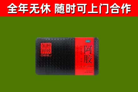 沭阳县回收阿胶